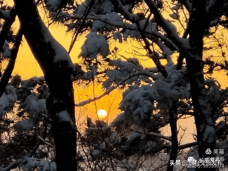 吴昆|雪落长岛 芳华刹那