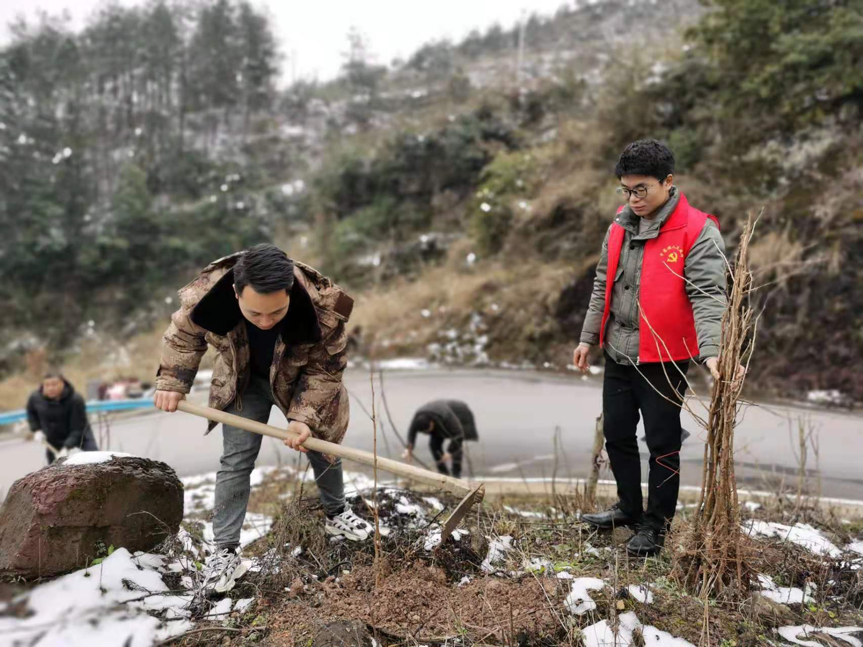 植树造林护生态 山绿景美入画来|沿河中寨镇开展义务植树活动见闻