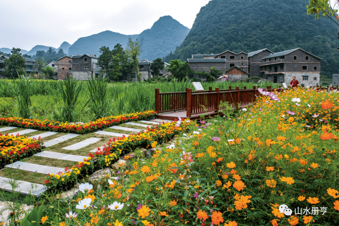 大美册亨寻春之旅