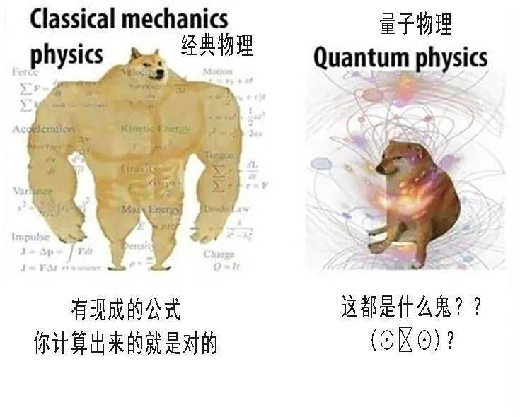 薛定谔的猫也常常被用在表情包里,至于那个盒子到底和量子力学有什么