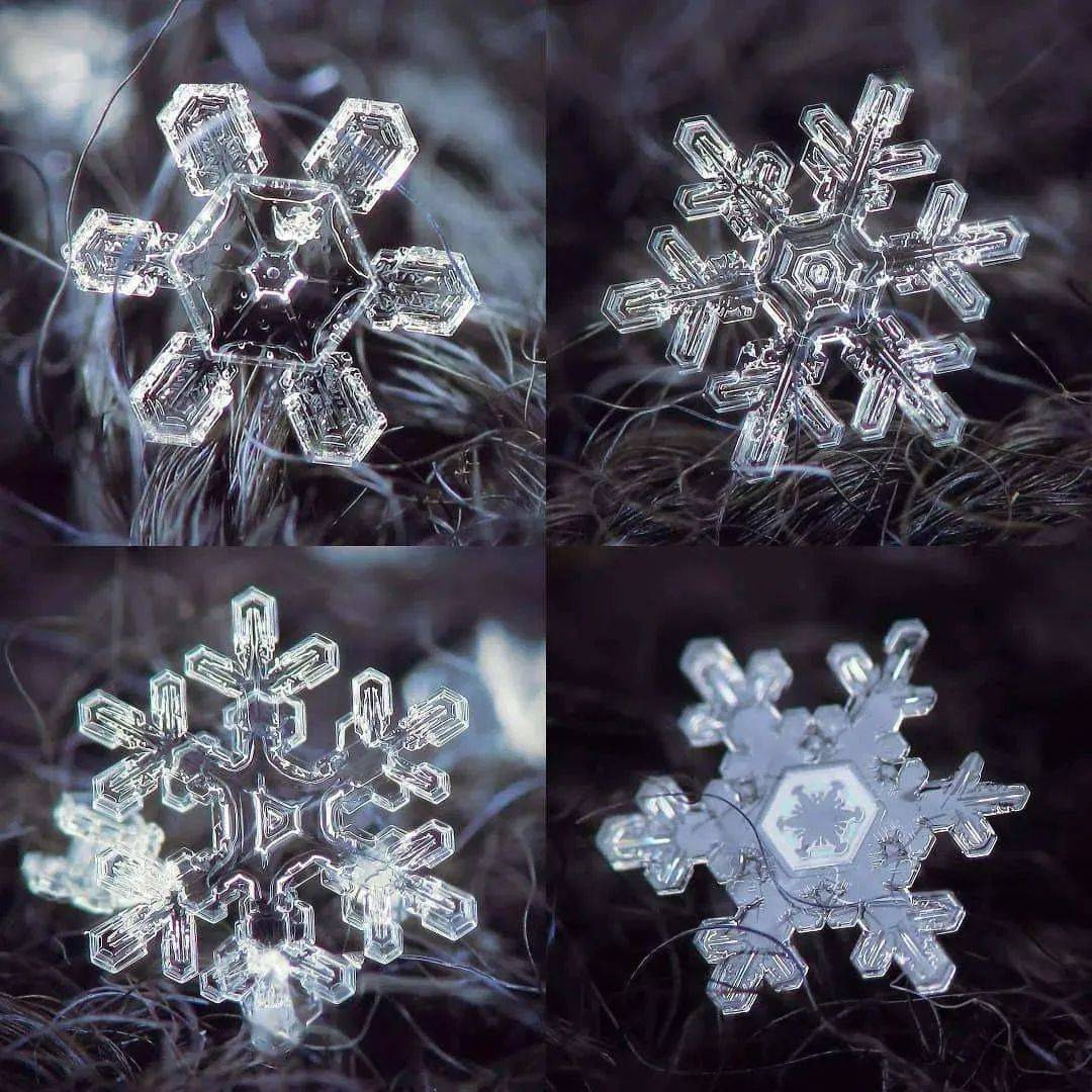 雪花形状知多少?_晶体_冰晶_形态
