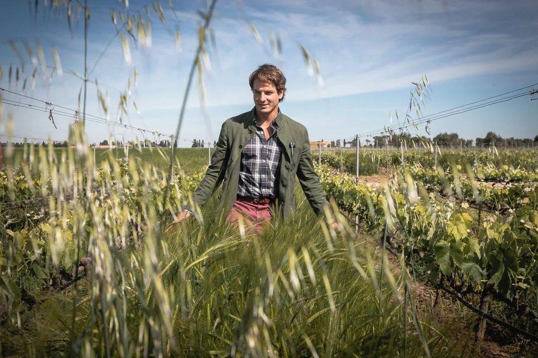 The|伯爵和他的珍酿