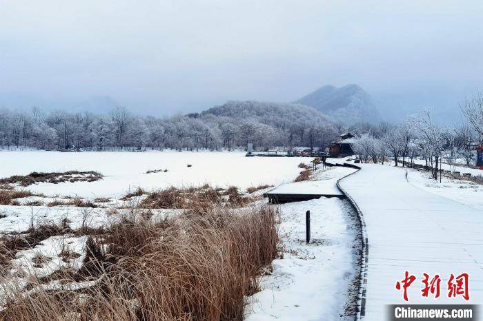 白雪|湖北神农架：白雪苍茫宛如仙境