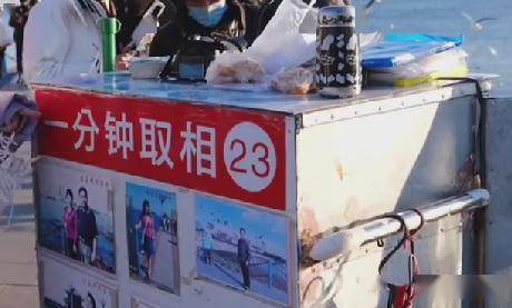 网友|青岛栈桥的“23号大爷”火了！网友：让海鸥都嫉妒的男人