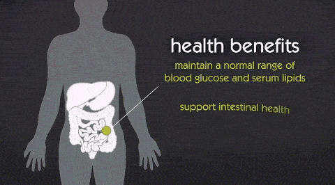 肠道|肠健康才能常健康，长痘、便秘、肥胖可能是肠道菌群出了问题