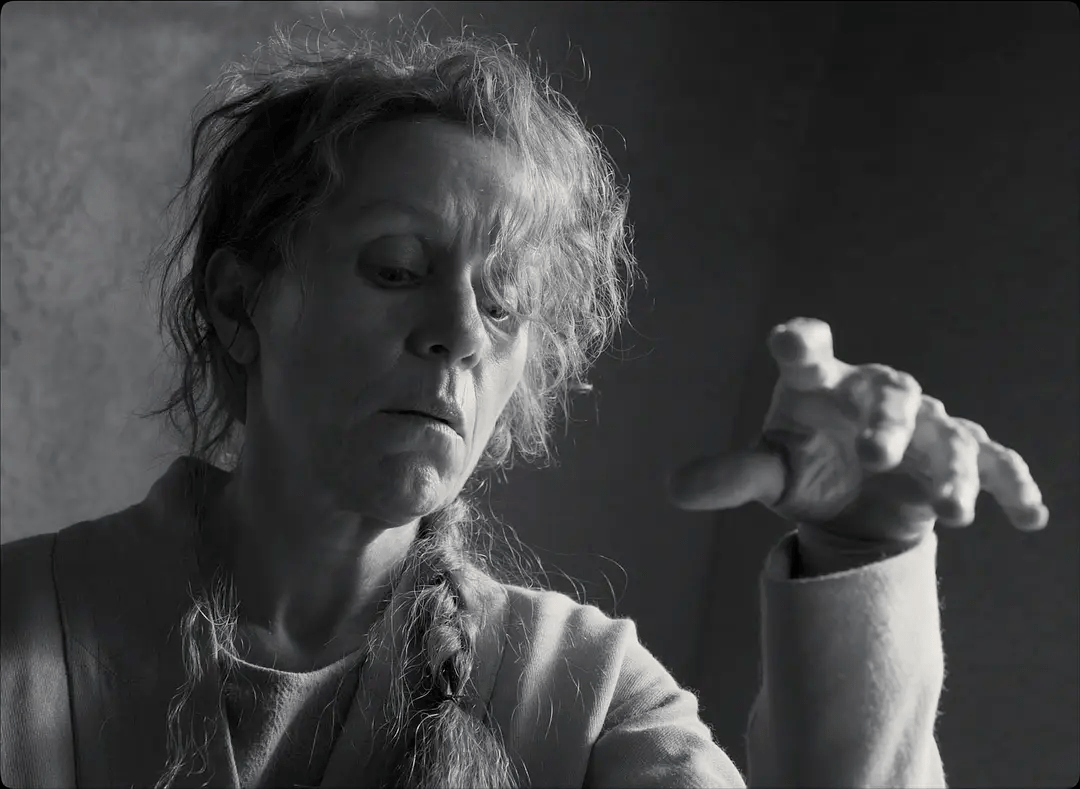 兄弟|单飞的科恩兄弟，终究没飞起来