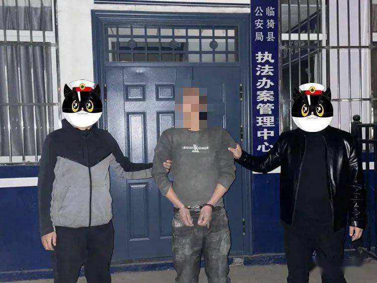 【夏县周边】4人多次盗窃草莓被抓获!_杜某兵_杜某伟_临猗县