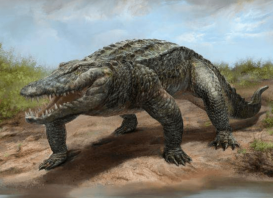 博物探索小知识鳄鱼家史上史话鳞龙