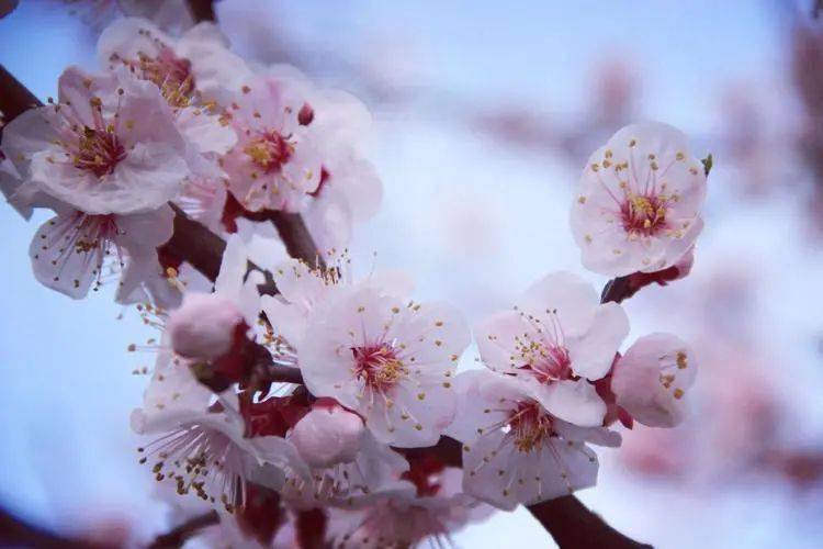 节气|今日雨水：好雨知时节，当春乃发生