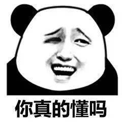 你懂我意思吧?_熊猫头_表情_东西