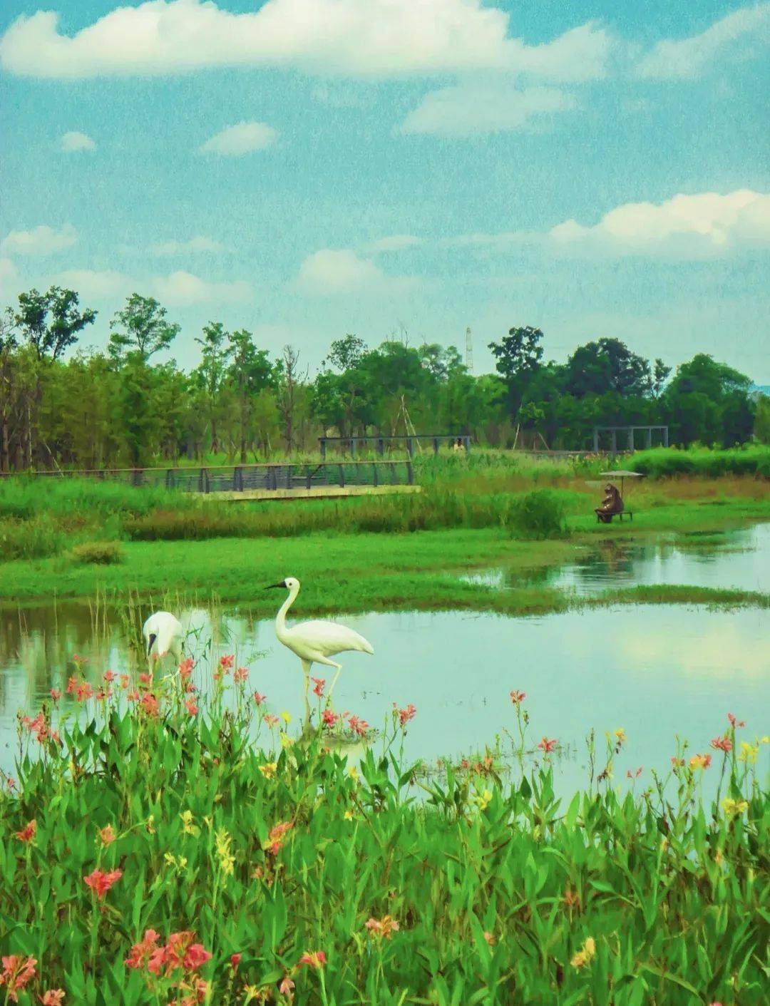 九江芳兰湖湿地公园,坐落于九江市科技城核心区域,东至鄱阳湖,南至