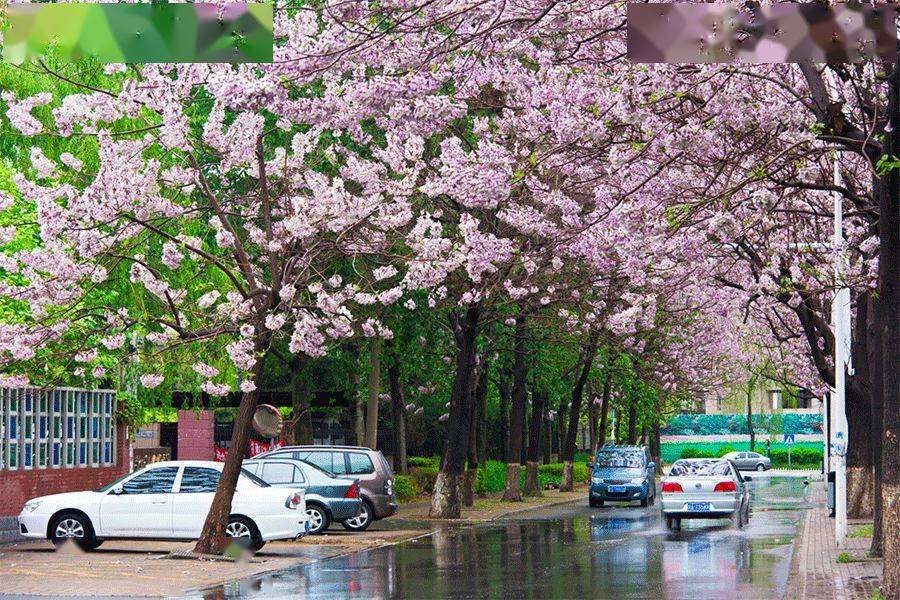 节气|今日雨水：好雨知时节，当春乃发生