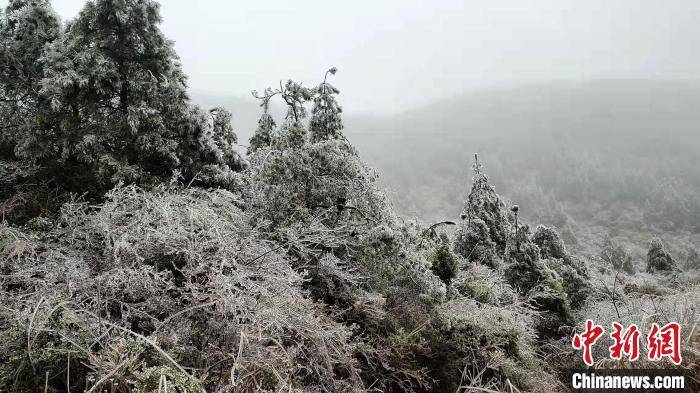 冰挂|福建宁德多地雾凇冰挂景观来袭 吸引游客观光拍照