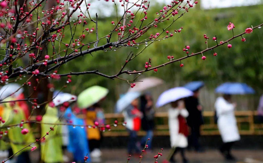 课堂|雨水！