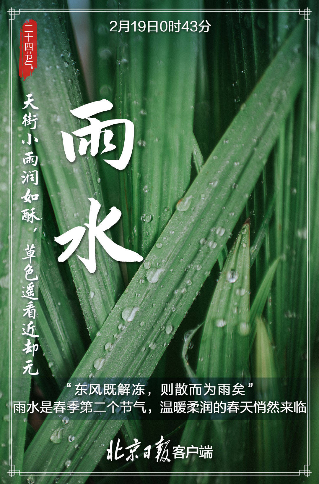 来袭|多张海报来袭！今日雨水，春天越来越近，让我们一起等待花开