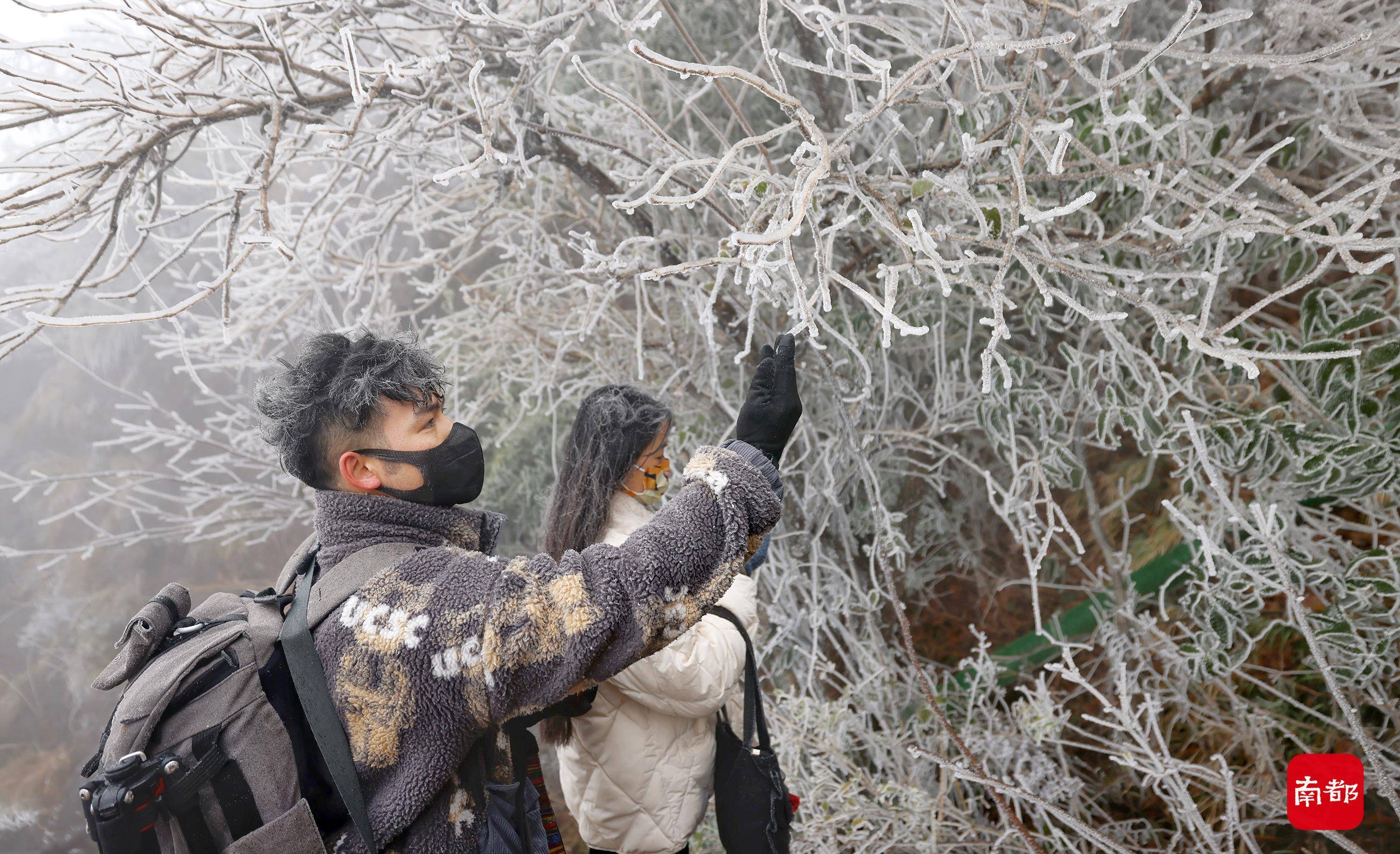 广东|图集：粤北最低气温降至-3℃，广东金子山游客长发挂冰