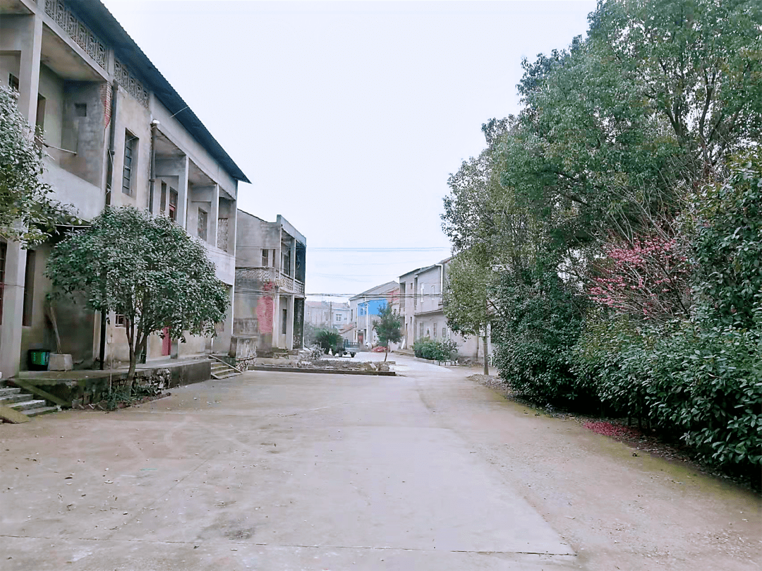 蔡甸这个村湾背后的故事不简单,取名经过你一定不知道!