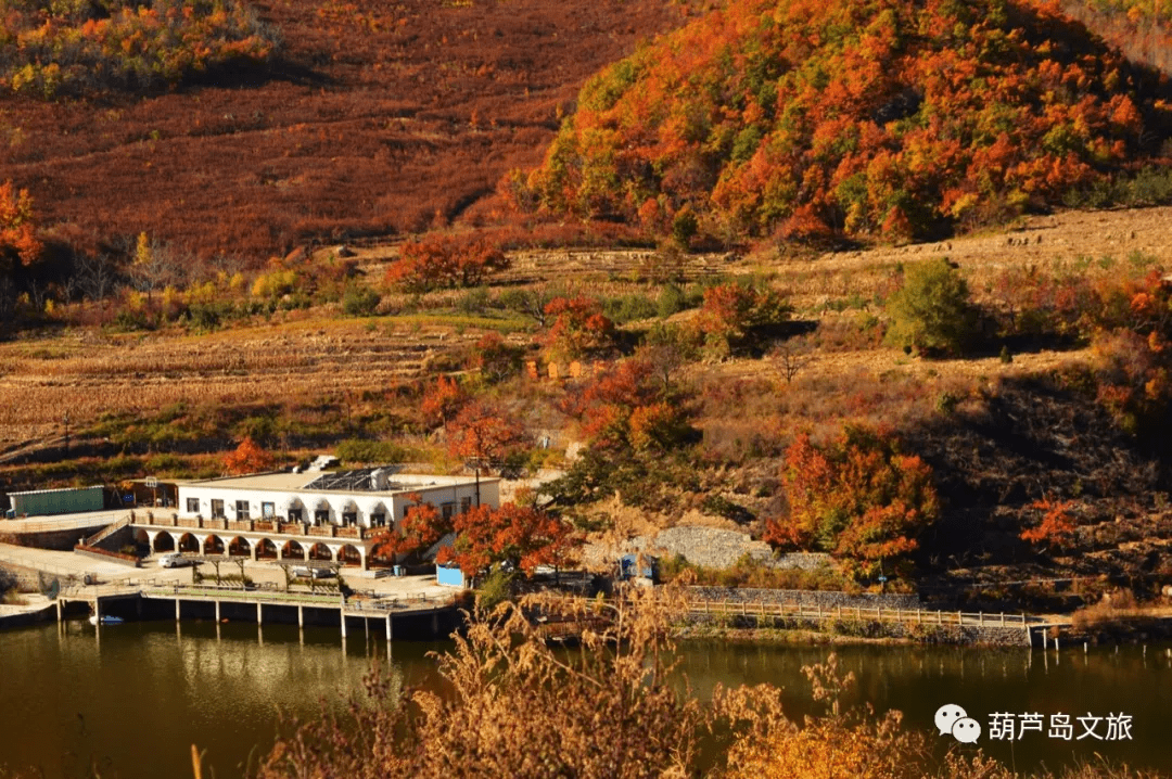 旅遊遼西第一個黨支部就在葫蘆島市綏中縣加碑巖鄉黃木杖子村