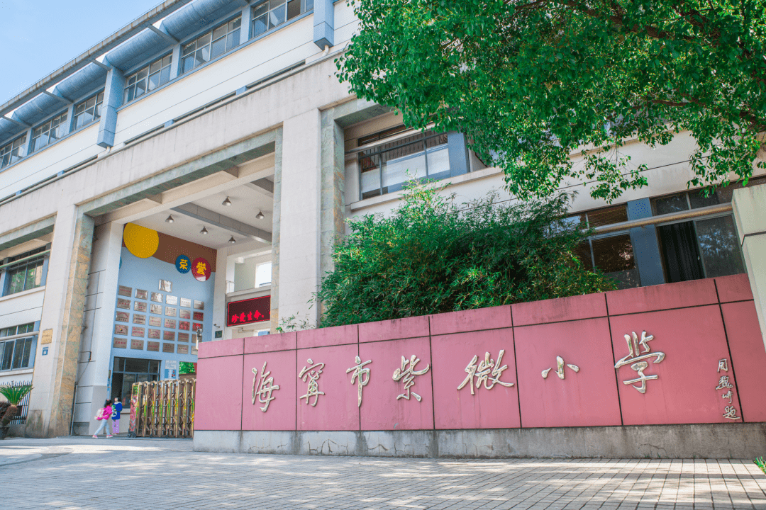 海宁紫微小学图片