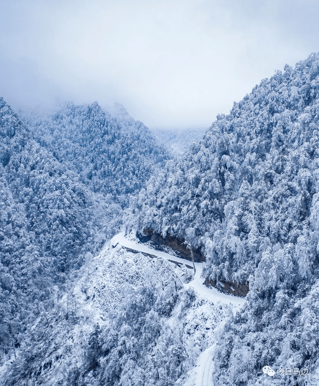 飞雪迎春到雪景美如画