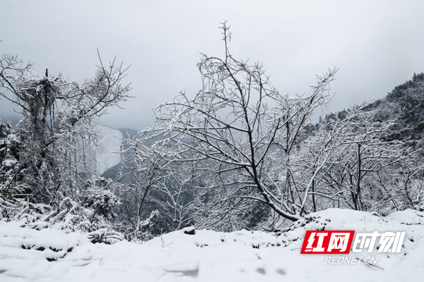 雪景|湖南新田：九峰山初春雪景醉游人