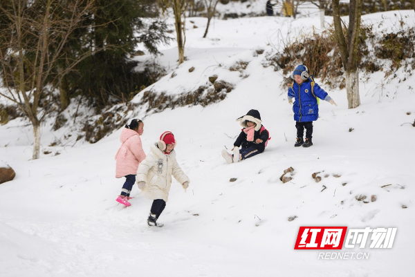 树作|湖南蓝山：春雪如期而至 雪景美不胜收