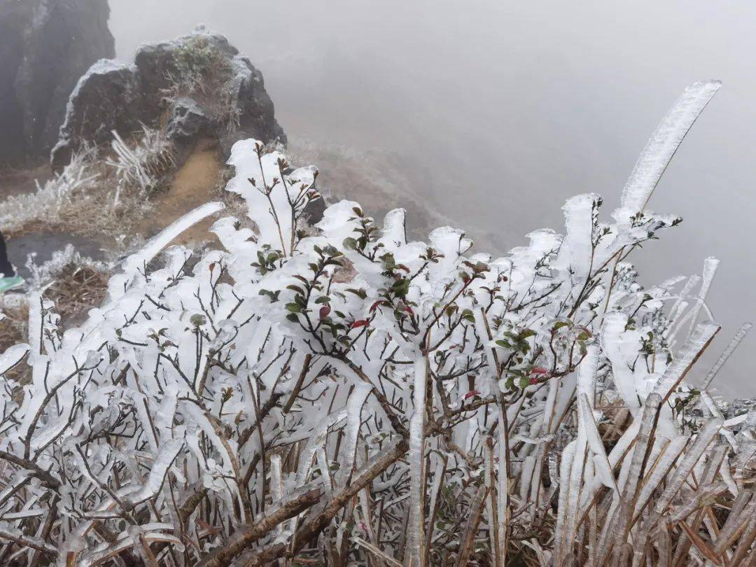 美龙岩多地喜提雪景天宫山莲台山红尖山图