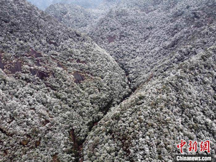 城区|武夷山国家公园银装素裹