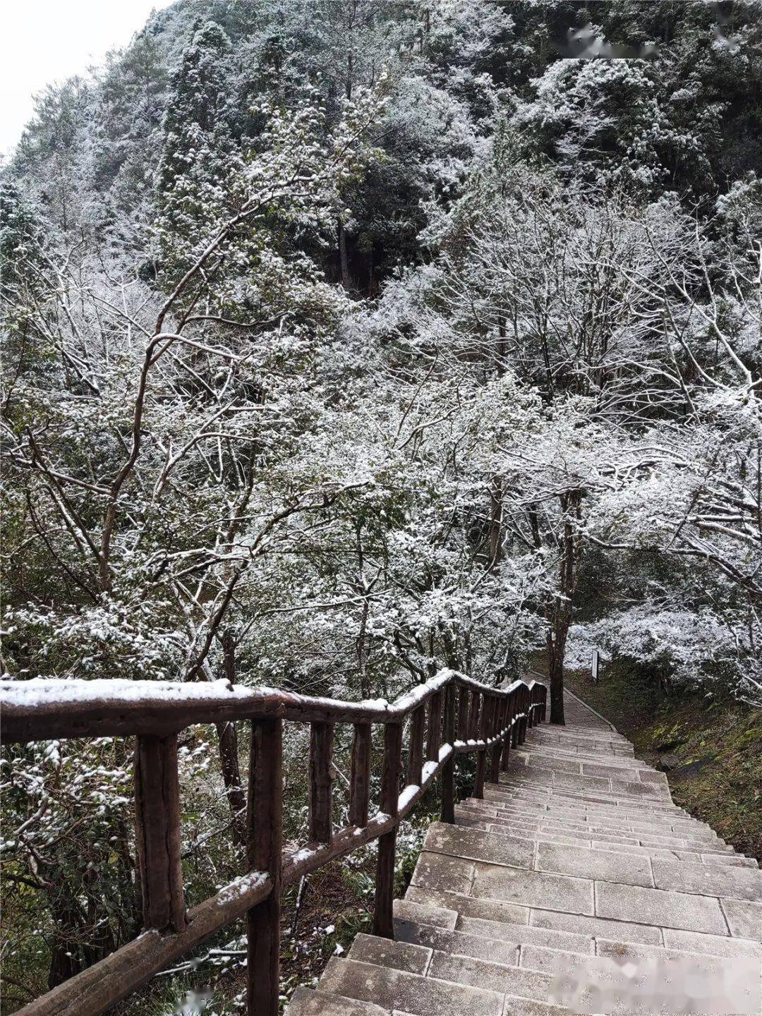 福建下雪啦摄影人迎来 狂欢季