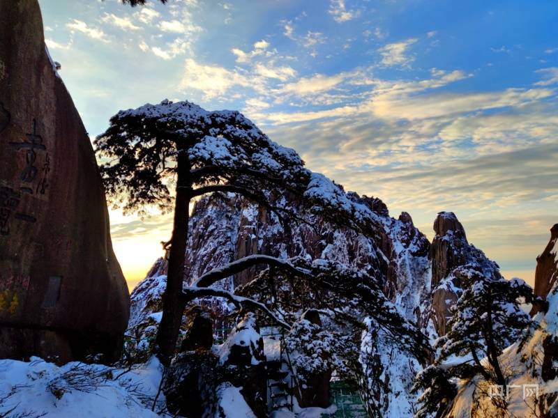 冬雪|“我想休假去黄山”，安徽黄山瑞雪连连惹馋网友