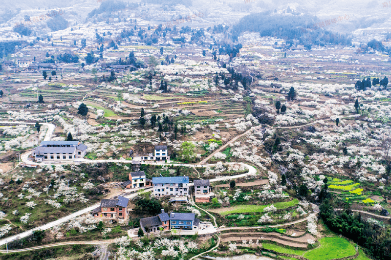 沿着公路看南川金山镇旅游产业遍地开花休闲慢城再写新篇