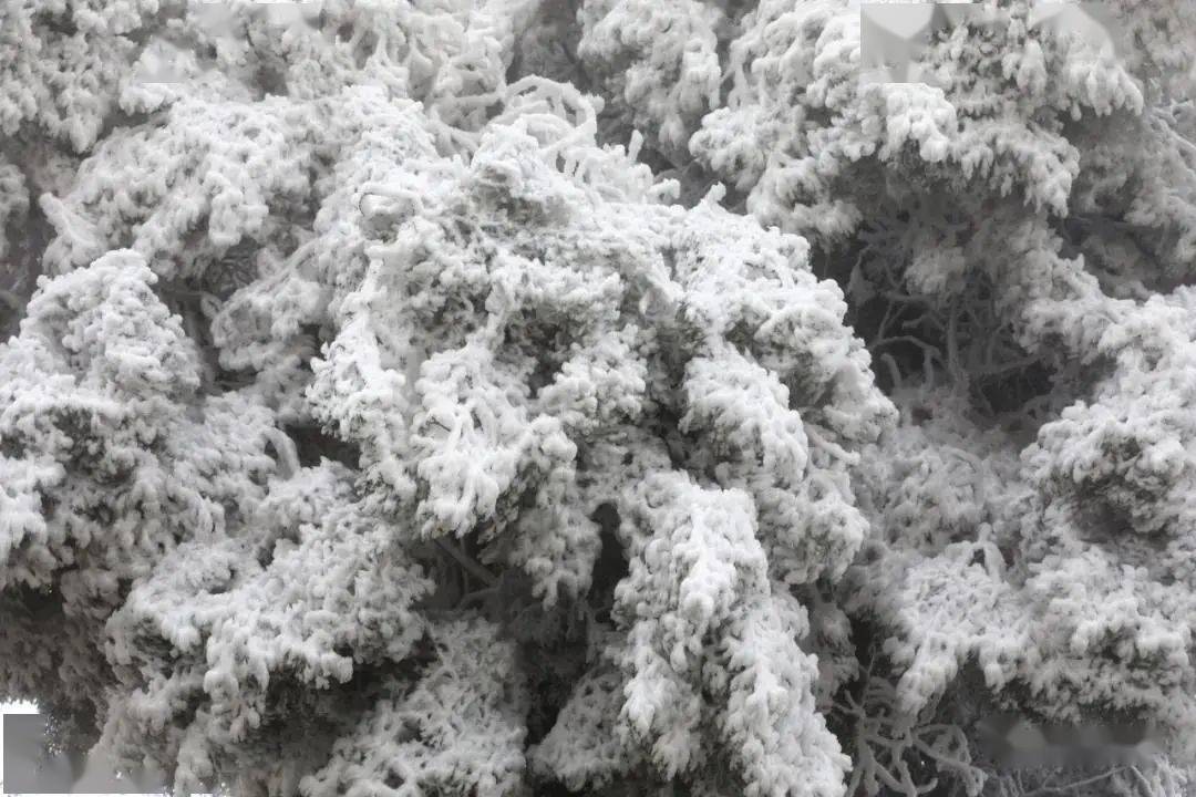 雪花|冬奥会里的那朵雪花飘到昆明来啦！ | 昆明文旅动态