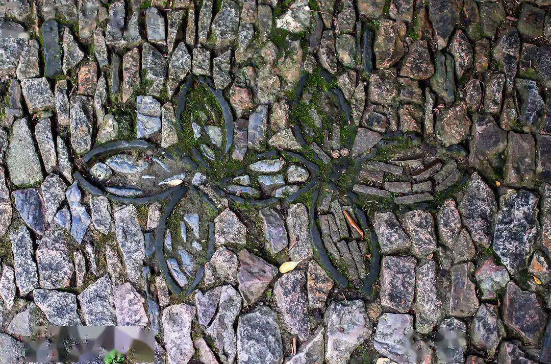 海棠|地上织绣，苏州园林的花街铺地