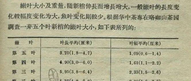 老书的故事·44丨《茶作学》:茶树栽培经典之作_庄晚芳_我国_研究