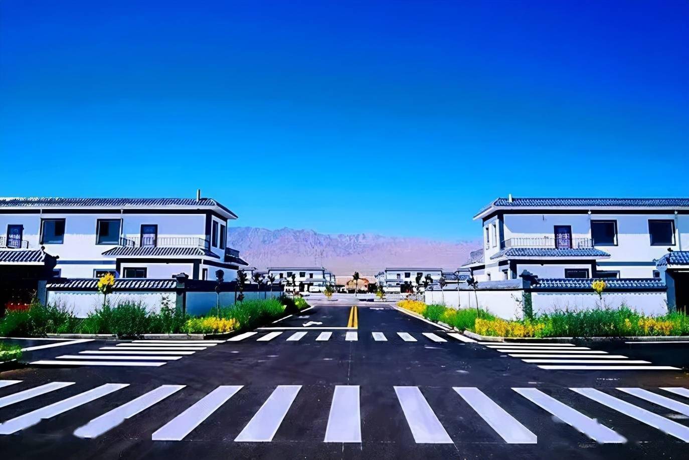 高台县南华镇接续奋斗谋振兴五美乡村展新颜