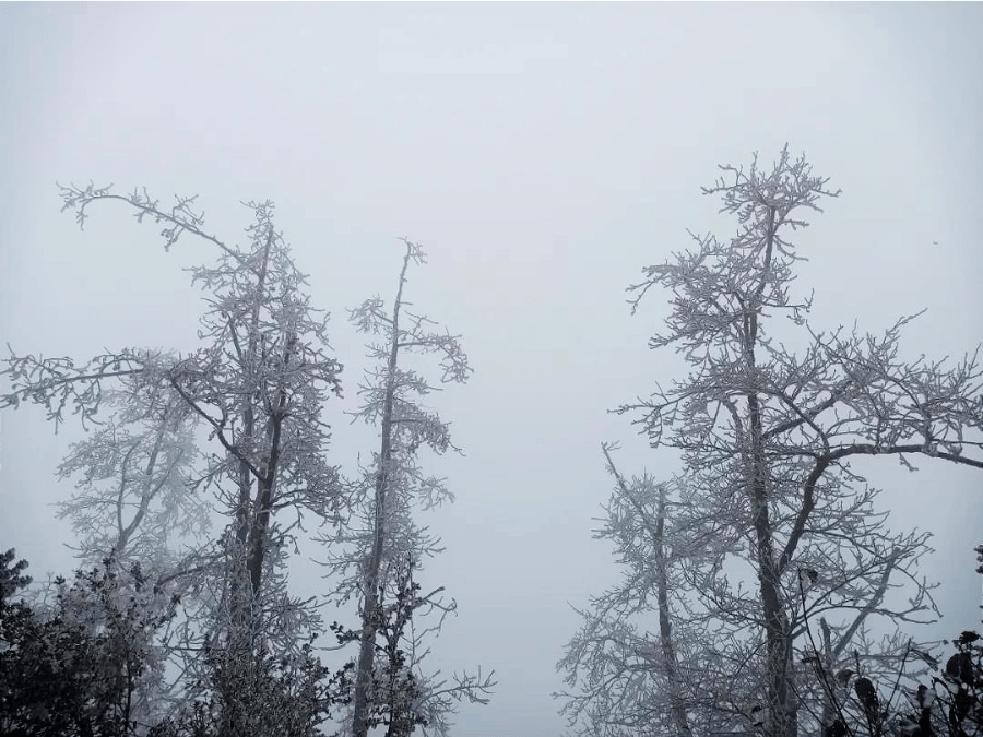 雪花|冬奥会里的那朵雪花飘到昆明来啦！ | 昆明文旅动态