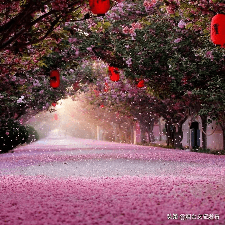 地方|刚刚，名单公示！烟台这些地方要火，看看有没有你家