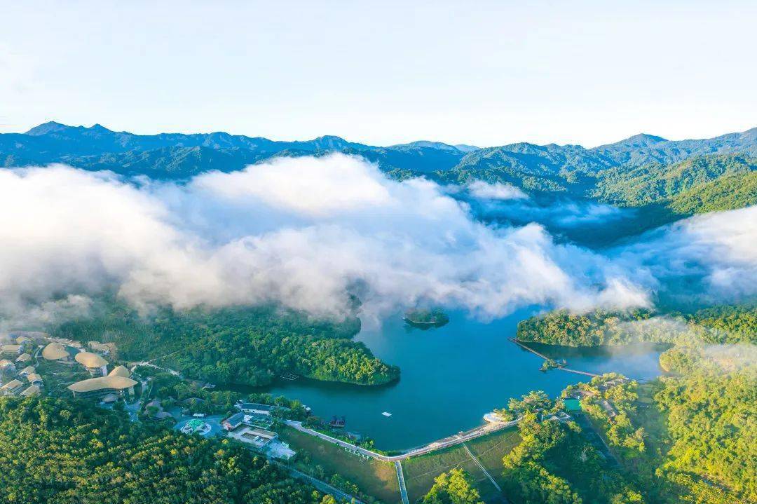 喜讯海南首家气候康养示范基地正式落户保亭