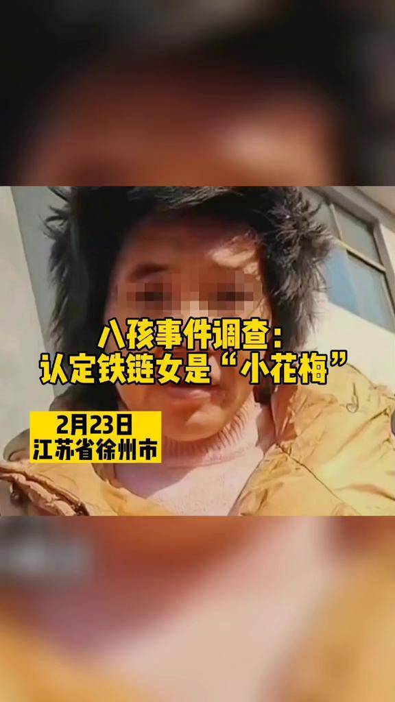 八孩事件调查:认定铁链女是"小花梅"_丰县8孩女子确系小花梅 17人被