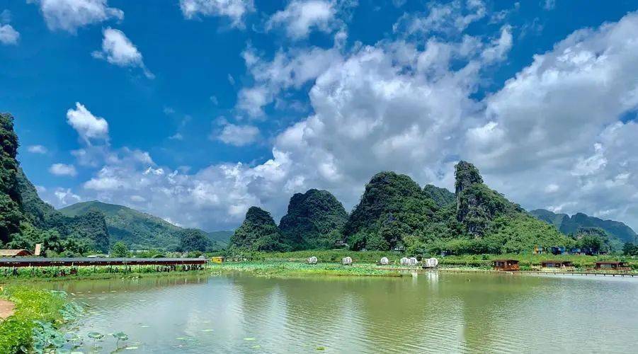 【限2月26日出发】旅游达人力哥带你赴一场花的约会 • 漫游清远英