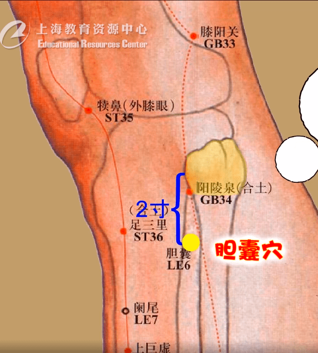 课程推荐这个穴位能治疗胆囊炎快来试试吧