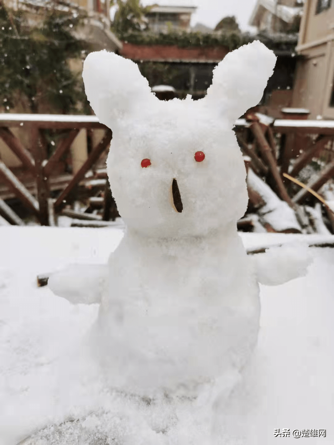 楚雄市民花式堆雪人大賽開賽快看看誰的創意最拉風