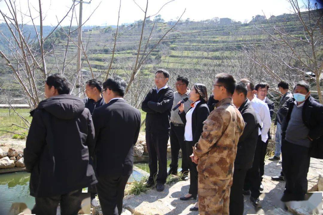 参观学习组一行先后到了大乌木龙村,无量山藏茶谷,罗伯克茶园,土么塘