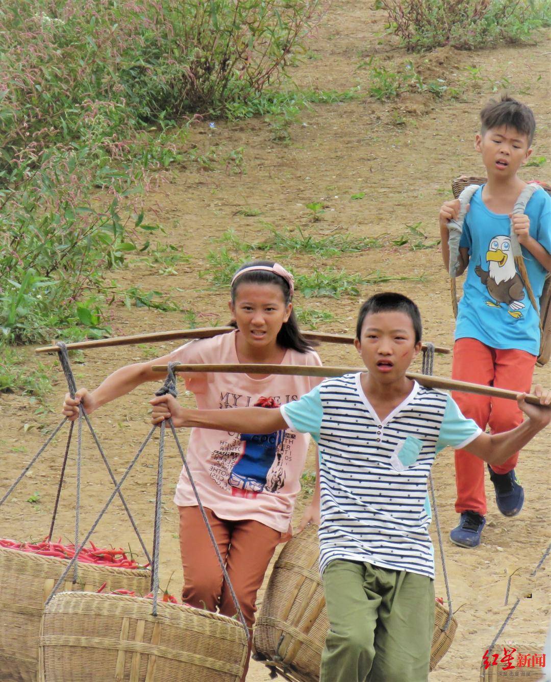 吕丽萍|《红辣椒》定档三八节，“狙击手”王乃训挑大梁