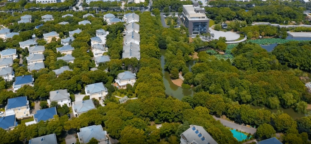 让我们一起为武家嘴村点赞吧!