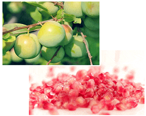 香水20元入手宝格丽同款香水！男人闻了都要“醉”倒在你怀里