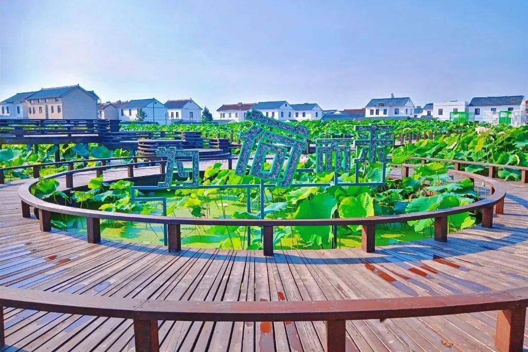 嘉善县姚庄镇上榜2021年度省"五水共治"优秀名单_工作_生态_污水