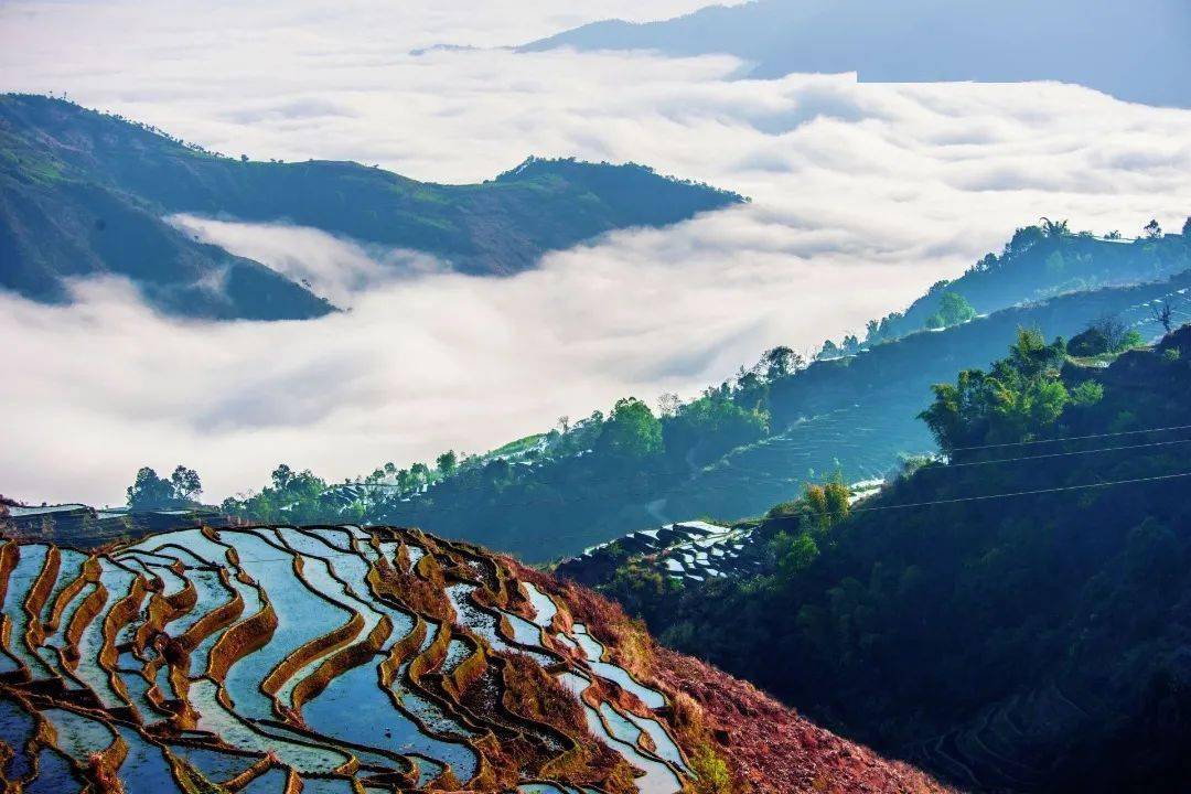 玉溪更多青绿美景