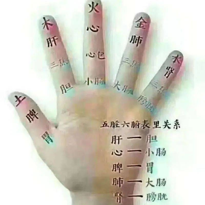 人所有的秘密,都藏在五个手指头上_肝气_小孩子_什么