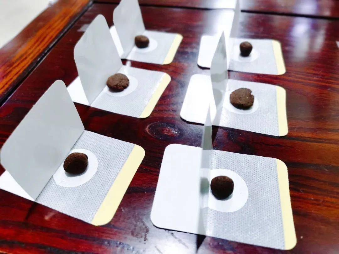 拱墅区属医疗机构推出小儿春季生长贴详情一览表戳这里